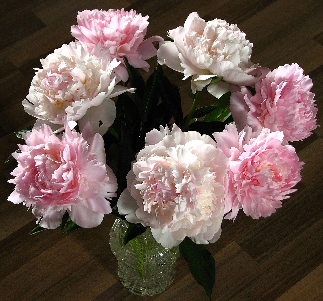 Premium Peony Mix